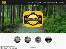 Sites similar to grizzlybear.se