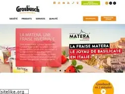 Sites similar to grosbusch.lu