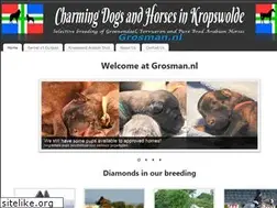 Sites similar to grosman.nl