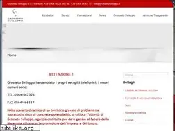 Sites similar to grossetosviluppo.it