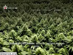 Sites similar to grossiste-cbd.ch
