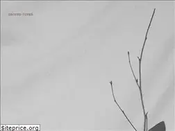 Sites similar to ground-cover.com