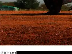 Sites similar to groundtruthsolutions.org