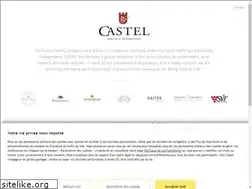 Sites similar to groupe-castel.com