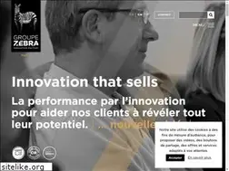 Sites similar to groupezebra.com