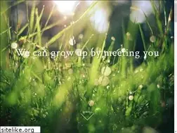 Sites similar to grow-ad.com