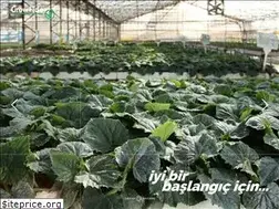 Sites similar to growfide.com