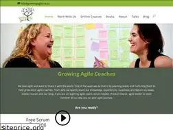 Sites similar to growingagile.co.za