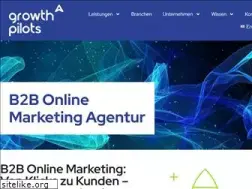 Sites similar to growth-pilots.de