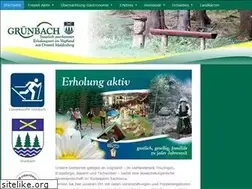 Sites similar to gruenbach.de