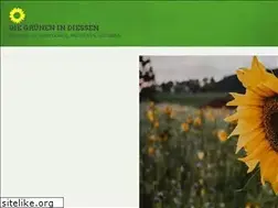 Sites similar to gruene-diessen.de