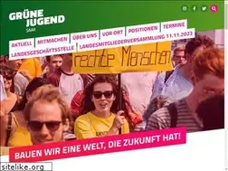 Sites similar to gruenejugendsaar.de