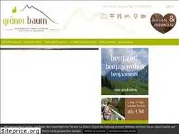 Sites similar to gruenerbaum.at