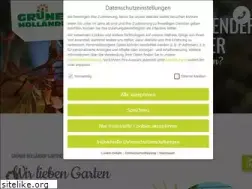 Sites similar to gruenerhollaender.de