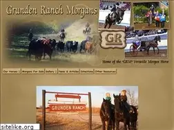Sites similar to grundenranchmorgans.com