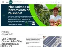 Sites similar to grupo-exito.com