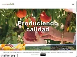 Sites similar to grupocatala.com