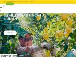 Sites similar to grupolucci.com.ar