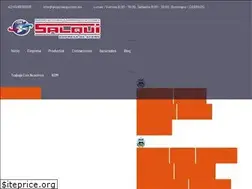 Sites similar to gruposalqui.com.bo