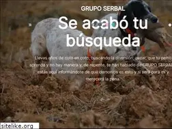 Sites similar to gruposerbal.es