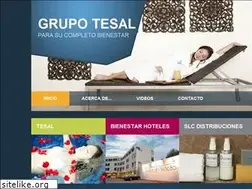 Sites similar to grupotesal.com