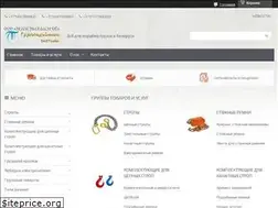 Sites similar to gruzozahvat.by