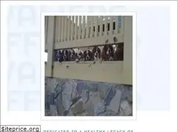 Sites similar to gryffindorcavaliers.com