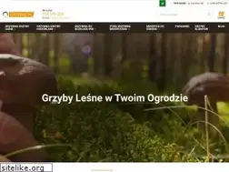 Sites similar to grzybywogrodzie.pl