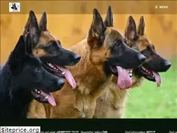 Sites similar to gsdcw.com