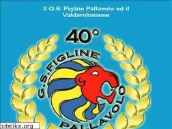 Sites similar to gsfiglinepallavolo.it