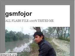 Sites similar to gsmfojor.wordpress.com
