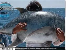 Sites similar to gt-angler-oman.com