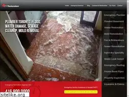 Sites similar to gtarestoration.org