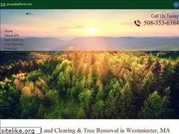 Sites similar to gtlforest.com