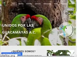 Sites similar to guacamayasparasiempre.org