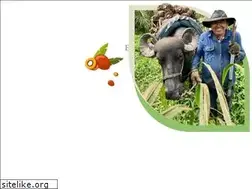 Sites similar to guaicaramo.com