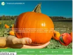 Sites similar to guanghenongye.com
