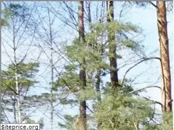 Sites similar to gueldenhof.de