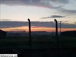 Sites similar to guida-auschwitz.org