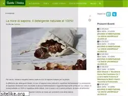 Sites similar to guidaolistica.com