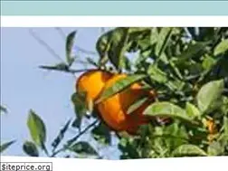 Sites similar to guidavalencia.com