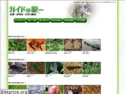 Sites similar to guide-eye.jp