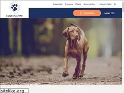 Sites similar to guidescanins.com
