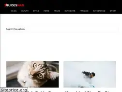 Sites similar to guidesmag.com