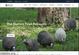 Sites similar to guineas.com