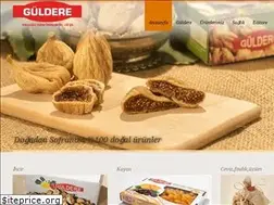 Sites similar to guldereincir.com