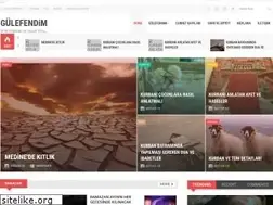 Sites similar to gulefendim.com