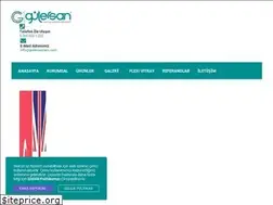 Sites similar to gulersancam.com
