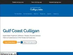 Sites similar to gulfcoastculligan.com