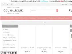 Sites similar to gulhalicilik.com